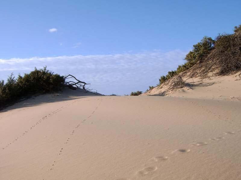أربوس Turismo Rurale La Miniera Fiorita المظهر الخارجي الصورة
