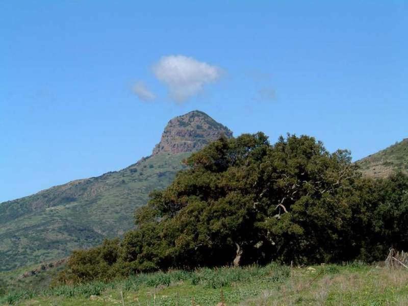 أربوس Turismo Rurale La Miniera Fiorita المظهر الخارجي الصورة