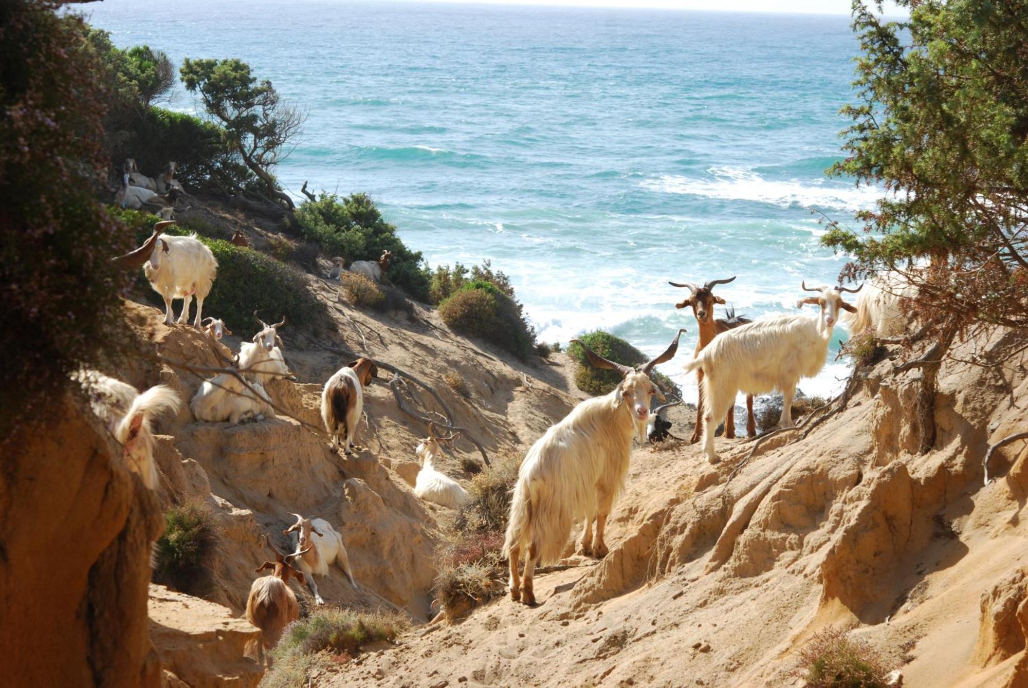 أربوس Turismo Rurale La Miniera Fiorita المظهر الخارجي الصورة